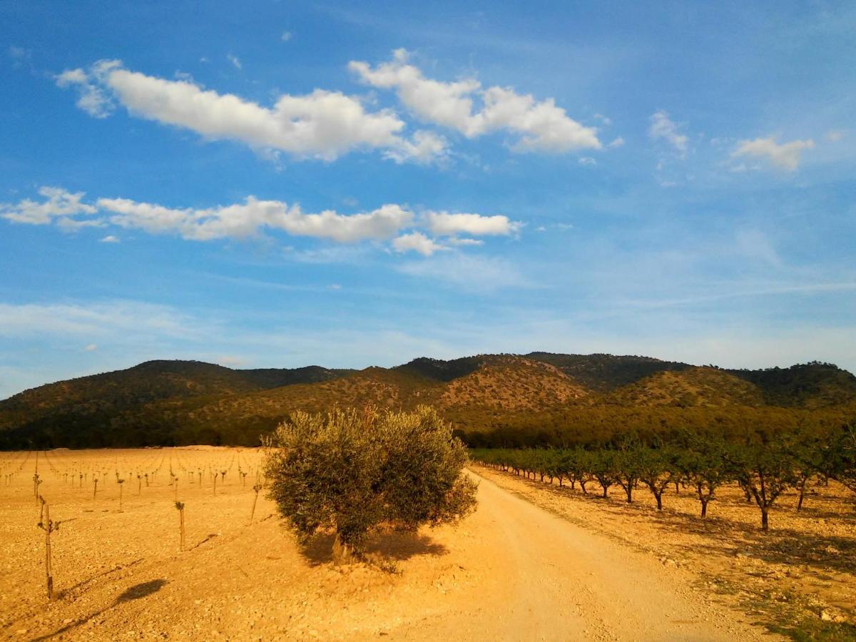 Casa Rural El Carmen De La Sierra Yecla Buitenkant foto