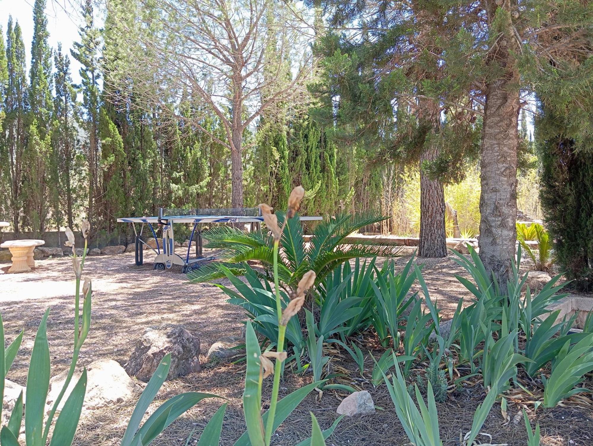 Casa Rural El Carmen De La Sierra Yecla Buitenkant foto